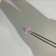 Pink Fireworks 6mm [Single]]