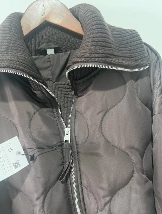 Women's Simple Style Classic Style Solid Color Zipper Coat cotton clothes