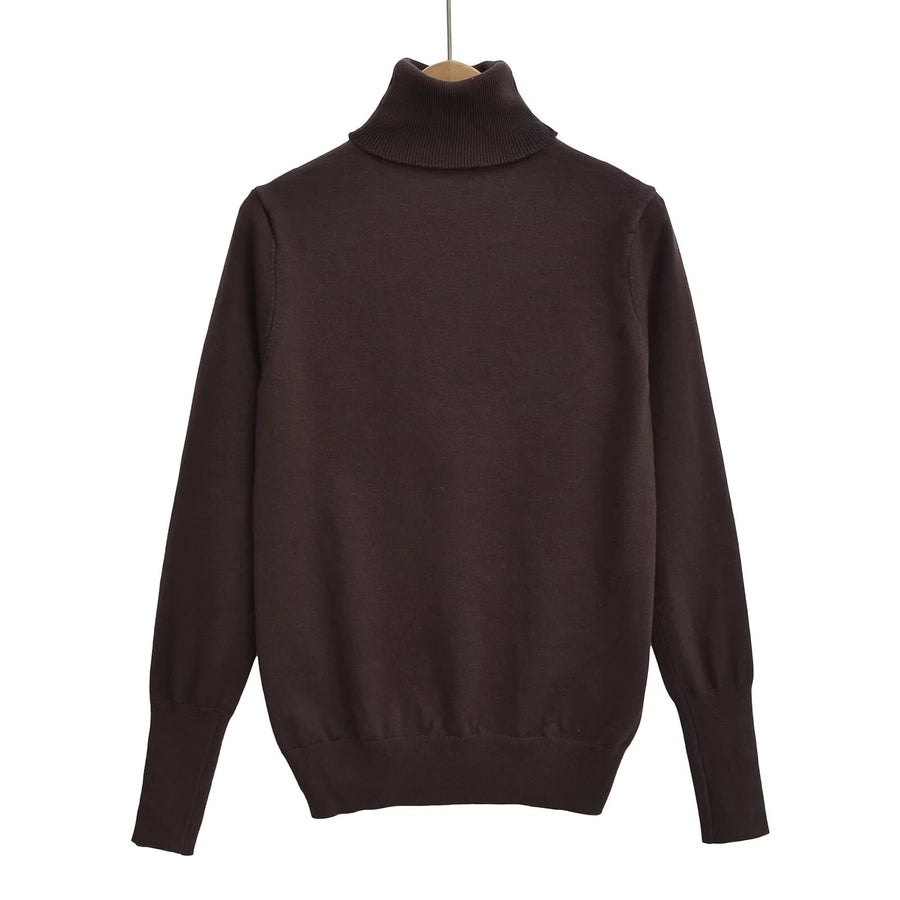 Women's Sweater Long Sleeve Sweaters & Cardigans Vacation Simple Style Solid Color