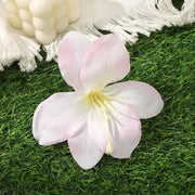 12cm Cymbidium Lily (with Leaves) Barrettes Light Pink-One