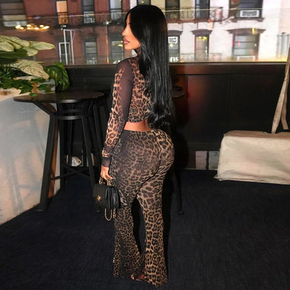 Daily Women's Streetwear Leopard Spandex Polyester Pants Sets Pants Sets