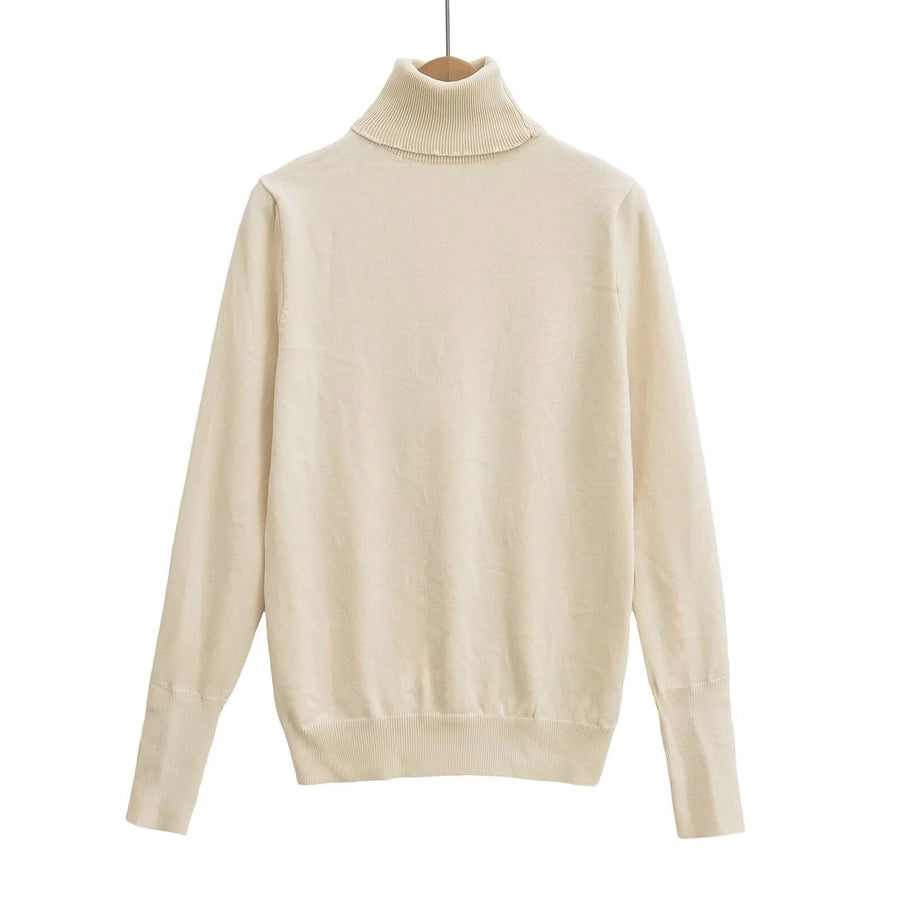 Women's Sweater Long Sleeve Sweaters & Cardigans Vacation Simple Style Solid Color