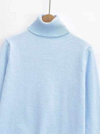 Women's Sweater Long Sleeve Sweaters & Cardigans Vacation Simple Style Solid Color