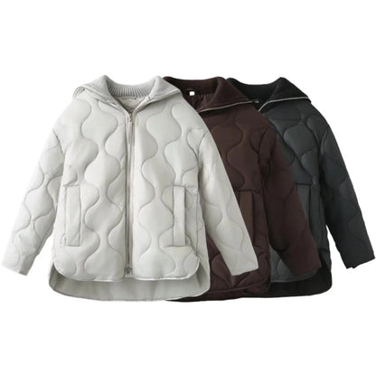 Women's Simple Style Classic Style Solid Color Zipper Coat cotton clothes