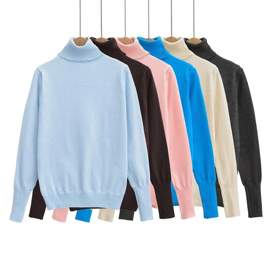 Women's Sweater Long Sleeve Sweaters & Cardigans Vacation Simple Style Solid Color