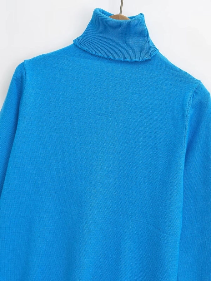 Women's Sweater Long Sleeve Sweaters & Cardigans Vacation Simple Style Solid Color