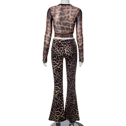 Daily Women's Streetwear Leopard Spandex Polyester Pants Sets Pants Sets