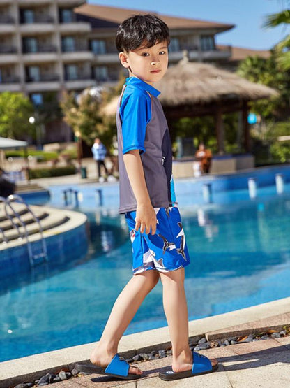 AONIHUA Beach Short Sleeves Boy Swimwear