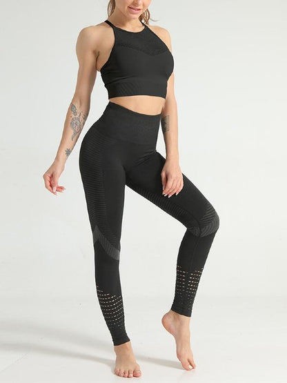 4 Colors Gym Sport Hoodie And Leggings Suit ACTIVE WEAR - Zebrant