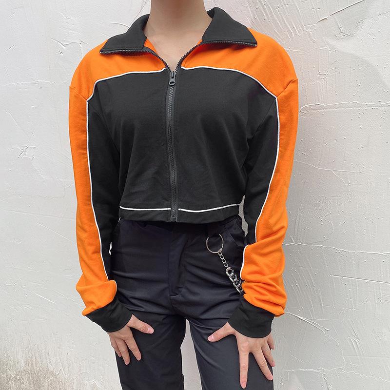 Stand Collar Zipper Crop Jackets ACTIVE WEAR - Zebrant