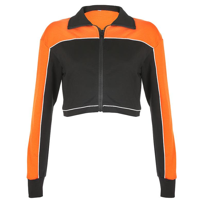 Stand Collar Zipper Crop Jackets ACTIVE WEAR - Zebrant