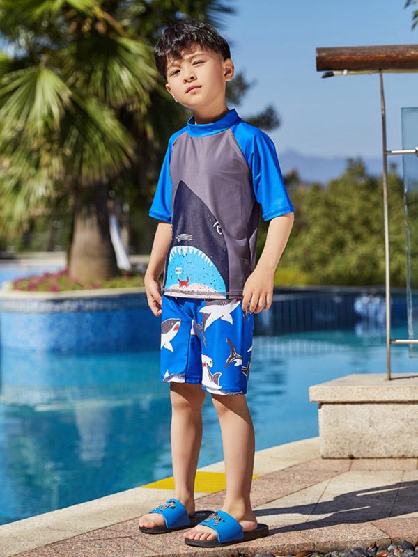 AONIHUA Beach Short Sleeves Boy Swimwear