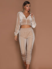 APRICOT