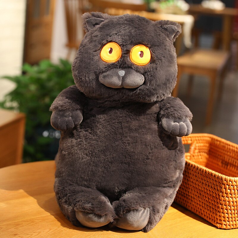 2023 Cute / Soft / Cartoon / Cat Plush Toy / Fat Cat Doll / Children's Birthday Gift / Christmas Gift