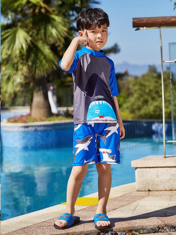 AONIHUA Beach Short Sleeves Boy Swimwear
