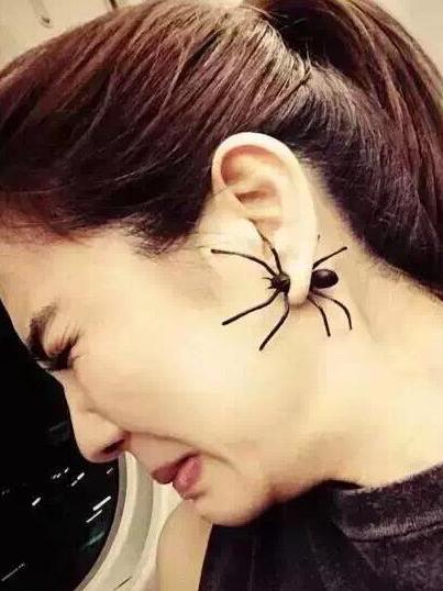 Punk Wacky Black Spider Earring Accessories