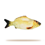 Crucian Carp