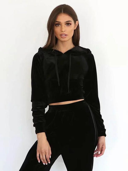 Velvet Hooded Sweatershirt And Harem Pants Suits