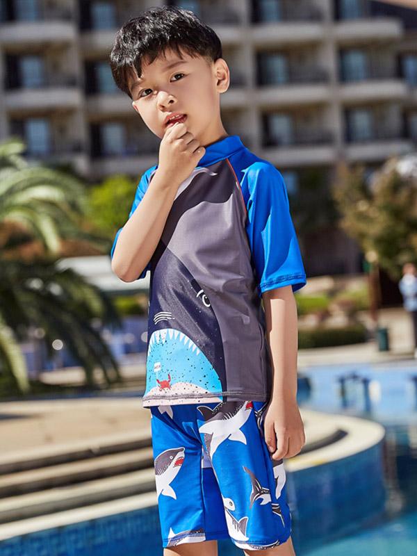 AONIHUA Beach Short Sleeves Boy Swimwear