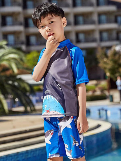 AONIHUA Beach Short Sleeves Boy Swimwear