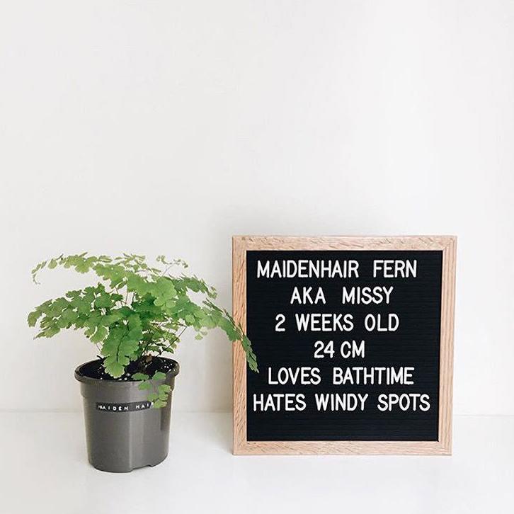 Felt Letterboard Photo Frame Home Decoration