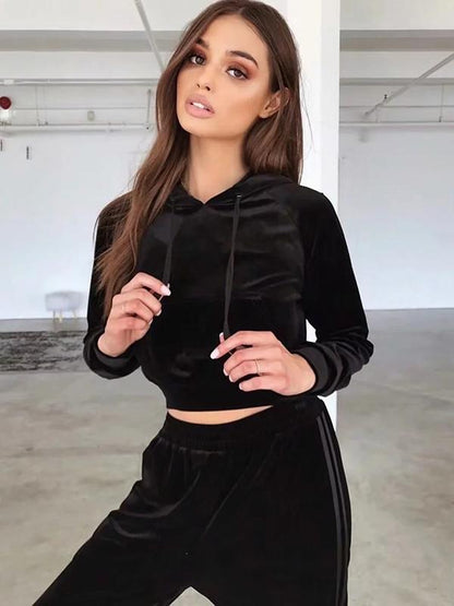Velvet Hooded Sweatershirt And Harem Pants Suits