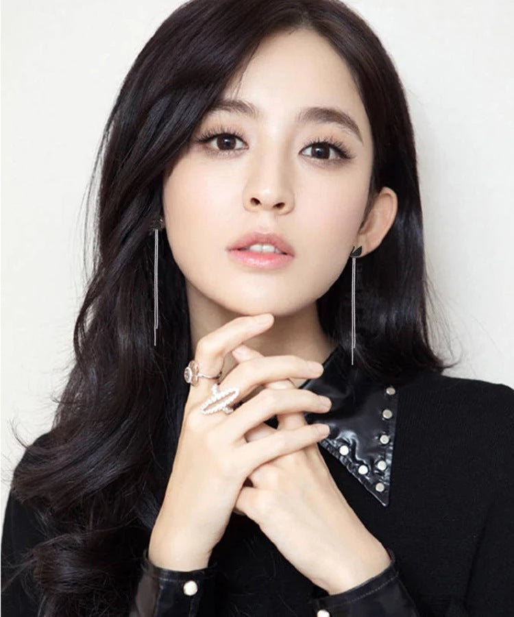 S925 silver needle tassel long swan earrings