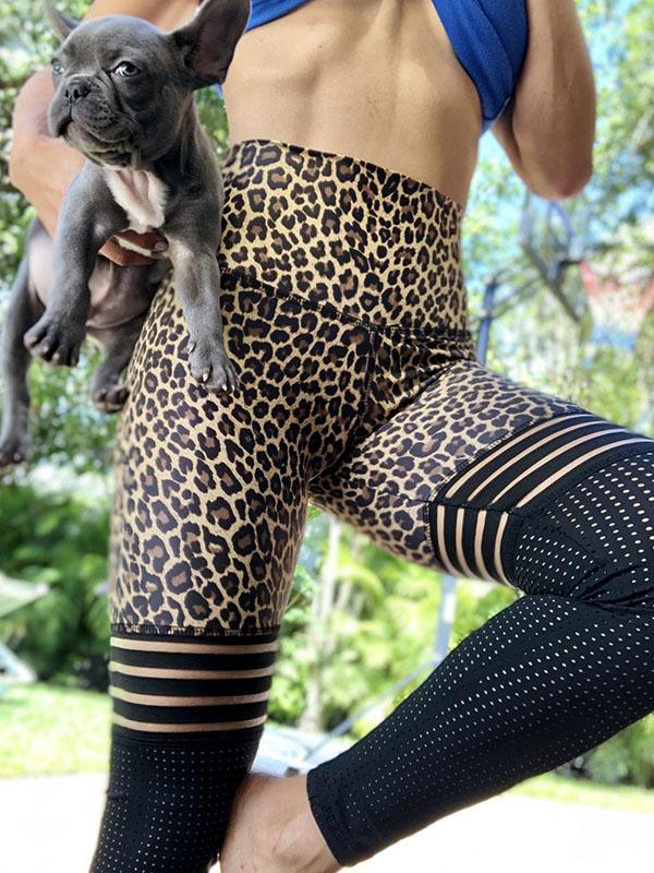 Leopard Printed Color-Block Hole Yoga Leggings