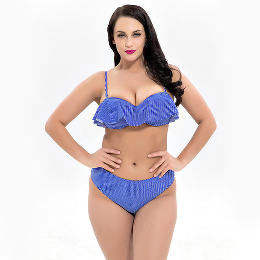 1930 SEXY PLUS SIZE BIKINIS SWIMWEAR
