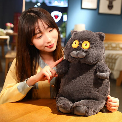 Cute / Soft / Cartoon / Cat Plush Toy / Fat Cat Doll / Children's Birthday Gift / Christmas Gift