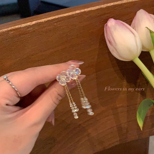 Long tassel exquisite diamond earrings