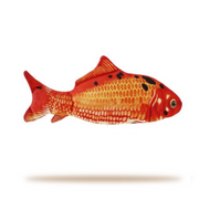 Koi - Limited Edition