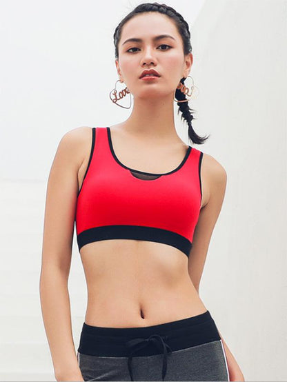 Padded Mid Impact Sport Bra
