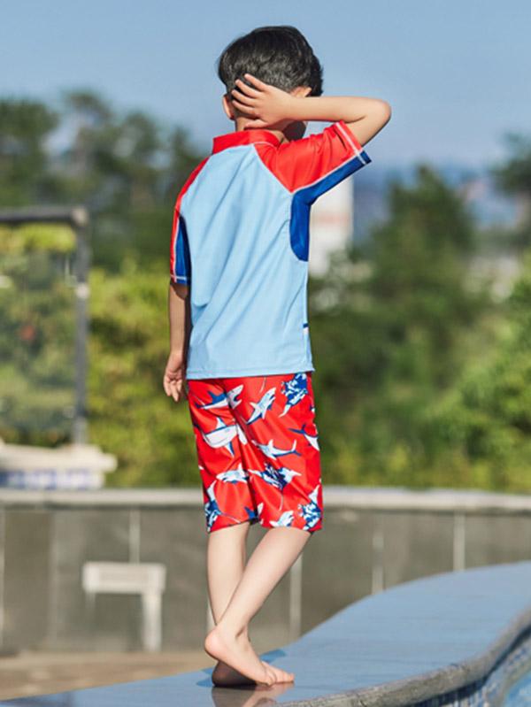 AONIHUA Shark Printed Two Pieces Boy Swimwear
