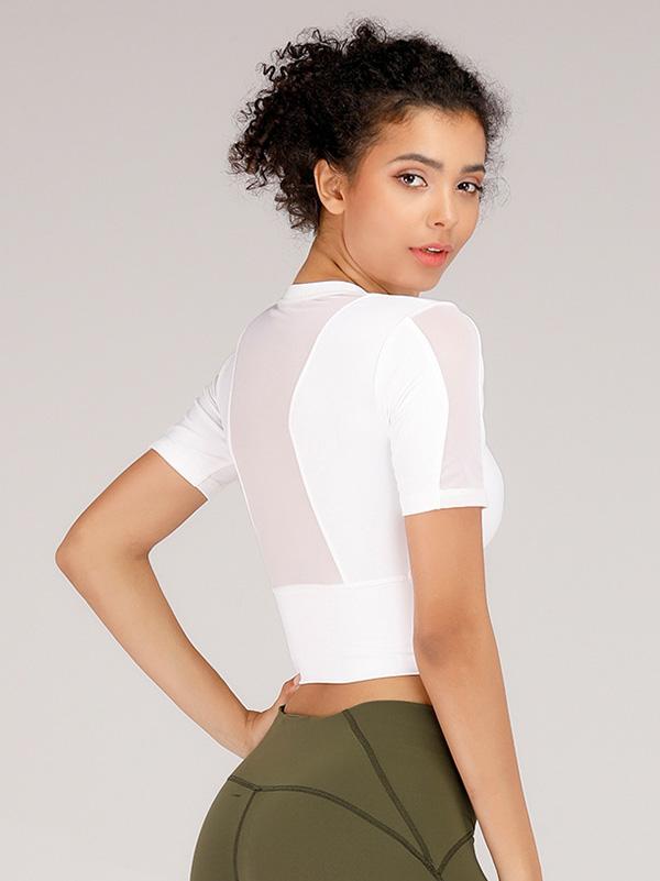 Quick-dry Collect Waist Sports Tee