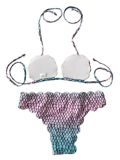 Seashell Solid Bikinis Swimwear