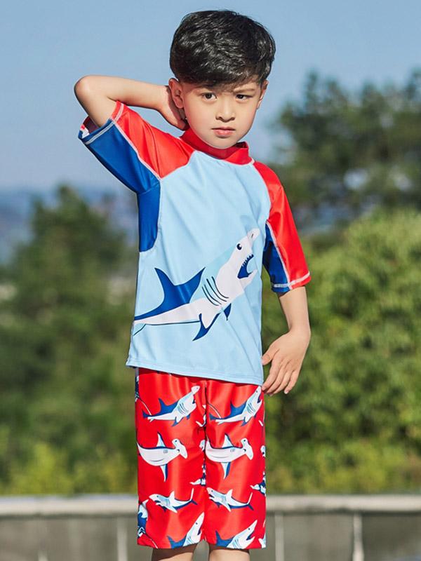 AONIHUA Shark Printed Two Pieces Boy Swimwear