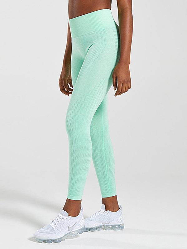 Knit Buttock Moisture Absorption Leggings