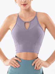 GRAY PURPLE