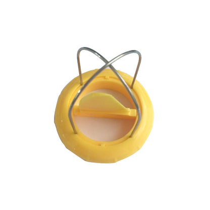 Fruit Kiwi Cutter Peeler Slicer Kitchen Gadgets